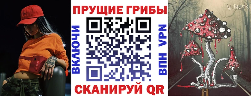 Псилоцибиновые грибы Psilocybe Семилуки